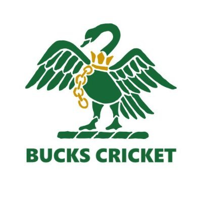Bucks Cricket logo